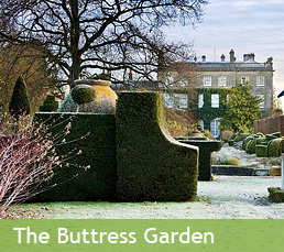 The Buttress Garden